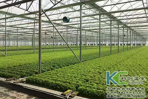 山西,植物工廠,無(wú)土栽培