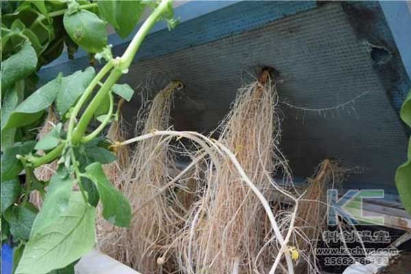 無(wú)土栽培，無(wú)土栽培技術(shù)，無(wú)土栽培設(shè)備