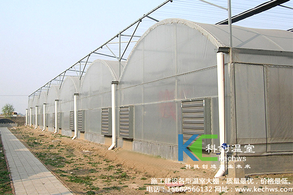 無(wú)土栽培，無(wú)土栽培技術(shù)，無(wú)土栽培設(shè)備