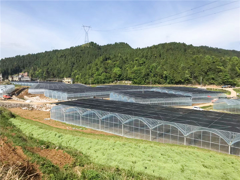 無土栽培，無土栽培技術(shù)，無土栽培設(shè)備