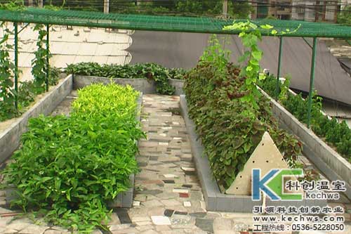 無土栽培，無土栽培技術(shù)，無土栽培設(shè)備