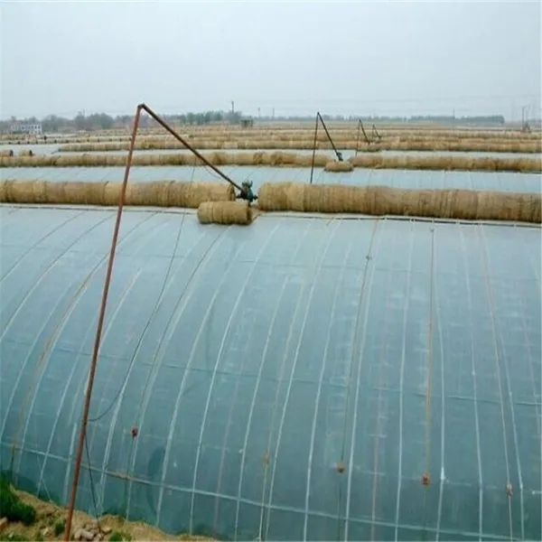 無土栽培，無土栽培技術(shù)，無土栽培設(shè)備